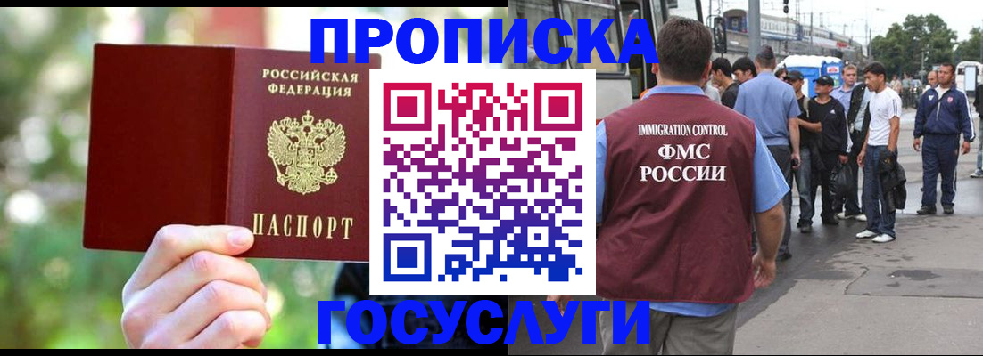 прописка поиск в Опочке
