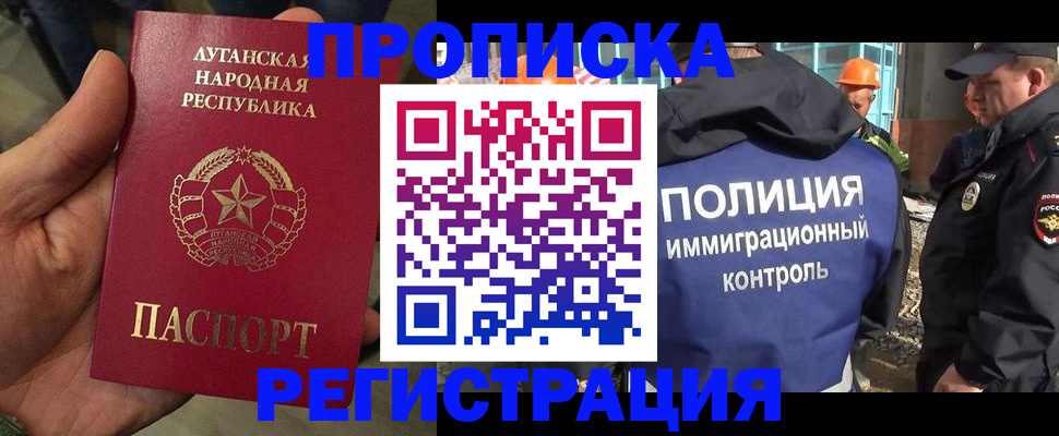прописка поиск в Опочке